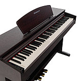 Цифровое пианино ROCKDALE Etude 128 Graded Rosewood, фото 7
