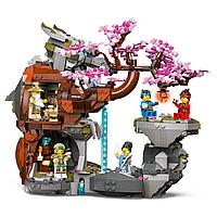 LEGO: Храм Драконьего Камня Ninjago 71819