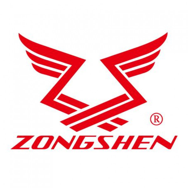Двигатель бензиновый Zongshen ZS 190 FE - фото 1 - id-p106829768