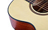 Акустическая гитара Tayste TS-21-40 Matt N, фото 4