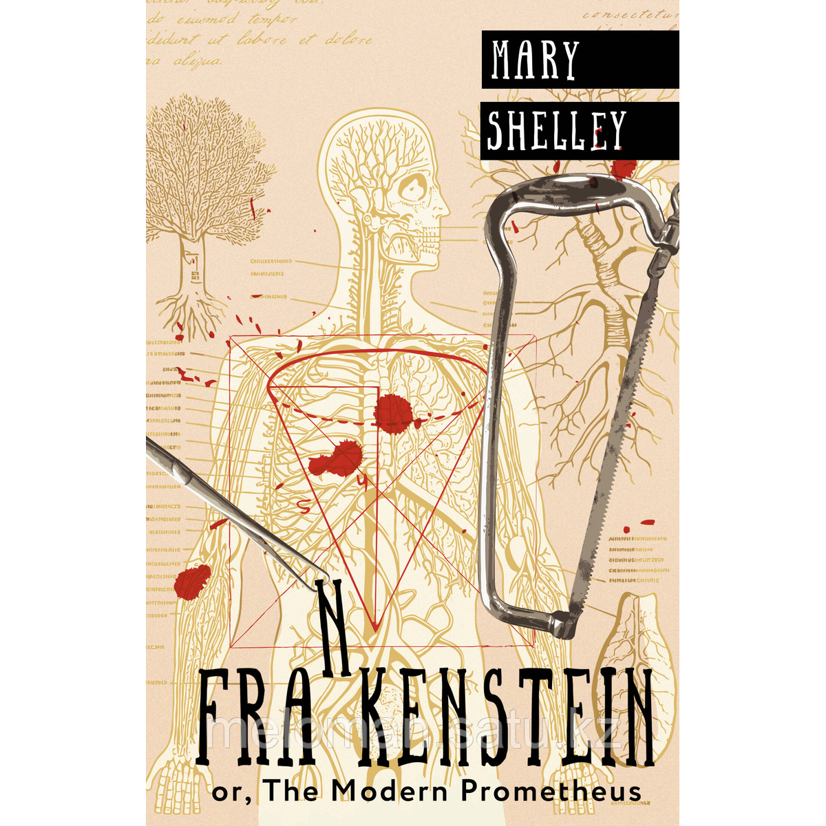 Shelley M.: Frankenstein or, The Modern Prometheus - фото 1 - id-p115949241