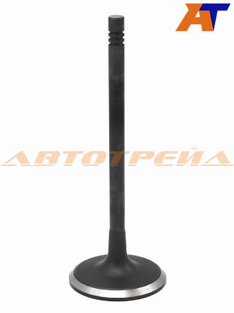 Клапан впускной (1 шт) OPEL ANTARA 2,2/2,4 07- - фото 1 - id-p115829151