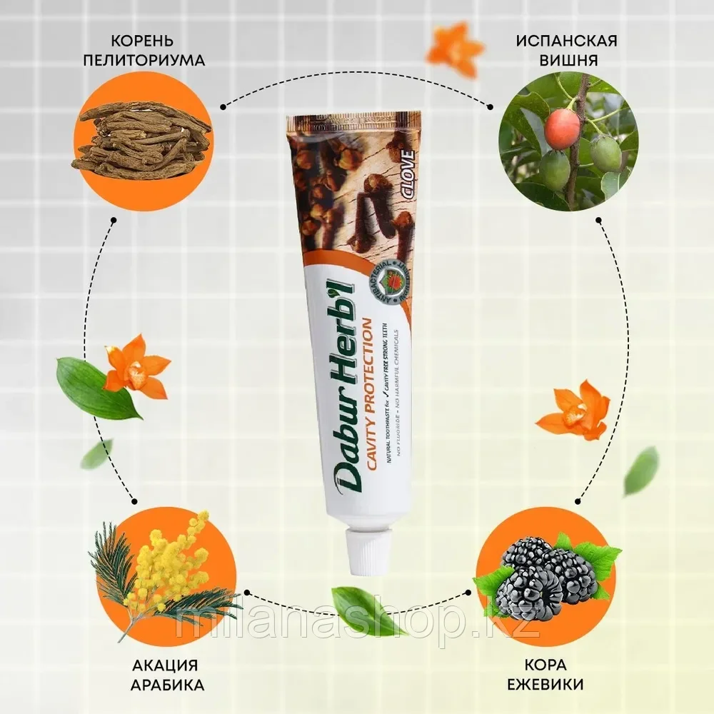 Dabur Herb I - Зубная паста Гвоздика