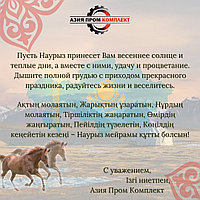 С праздником Наурыз!