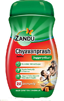 Чаванпраш плюс, Занду/Zandu, 900 гр, иммунитет, витамины, минералы, омоложение, очищение организма