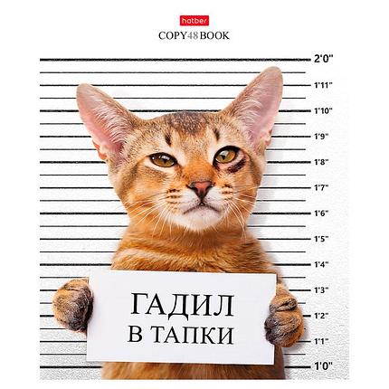 Тетрадь "Hatber", 48л, А5, клетка, на скобе, серия "Кот-обормот", фото 2