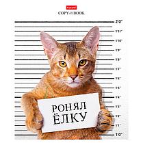 Тетрадь "Hatber", 48л, А5, клетка, на скобе, серия "Кот-обормот", фото 6