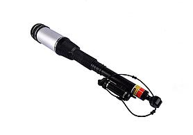 Амортизатор задний W220 Mercedes S-class в сборе