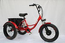 Электровелосипед трехколесный GreenCamel Трайк-F20 (48V 500W) (Красный)