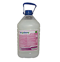 Жидкое мыло для рук BEGABUNG AULA 5 л