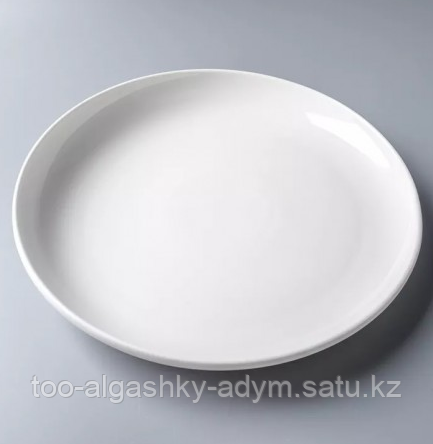 Тарелка большая круглая плоская 35 см для комплексной подачи блюд белый фарфор - фото 1 - id-p106557621