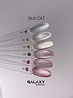 Гель лак Galaxy Silk cat №01, 8г, фото 2