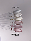 Гель лак Galaxy Silk cat №02, 8г, фото 2