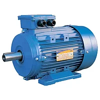 Электр қозғалтқышы АИР 100 L2 5.5кВТ 3000 айн/мин МЕМСТ 15150-69 (IM 2081 МЕМСТ 2479-79)