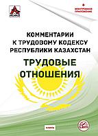 Комментарии к Трудовому кодексу РК на 11.02.2024 г. Трудовые отношения.(+Эл. приложение)