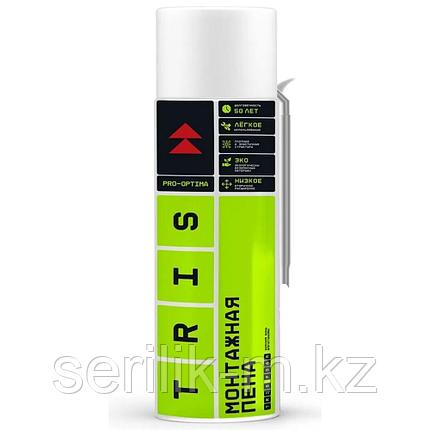 ПЕНА БЫТОВАЯ PRO-MAXI TRIS 750МЛ ПМ07, фото 1
