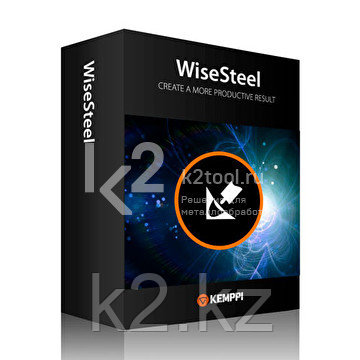 Программное обеспечение WiseSteel