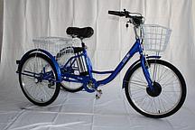 Электровелосипед трехколесный GreenCamel Трайк-24 V2 (48V 250W) (Синий)