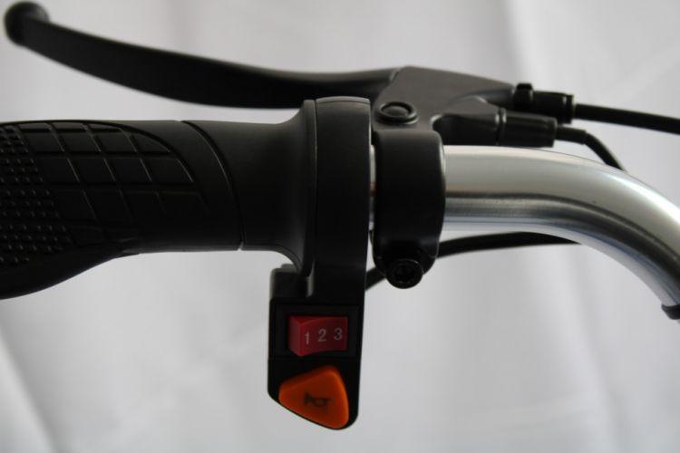 Электровелосипед трехколесный GreenCamel Трайк-24 V2 (48V 250W) (Черный) - фото 3 - id-p116015141