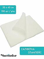 Салфетки спанлейс 30*40 100шт/уп Чистовье 147