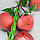 Искусственные фрукты связка персики 55 см, фото 3
