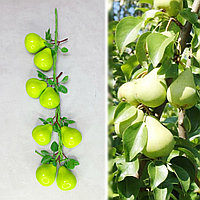 Искусственные фрукты связка груши 60 см зеленые