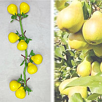 Искусственные фрукты связка груши 60 см желтые