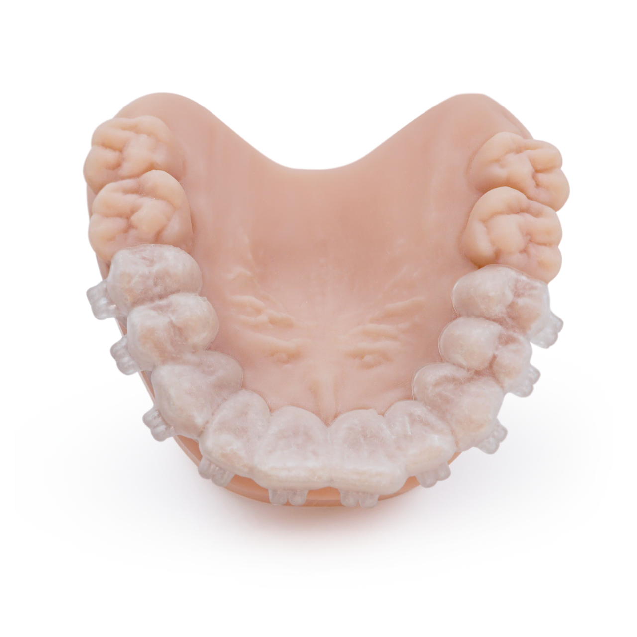 Dental IBT 0,5 - фото 2 - id-p116047182