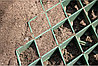 Решетка Экотек Паркинг (зеленый), фото 3