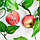 Искусственные фрукты яблоки 260 см подвесные красные, фото 6