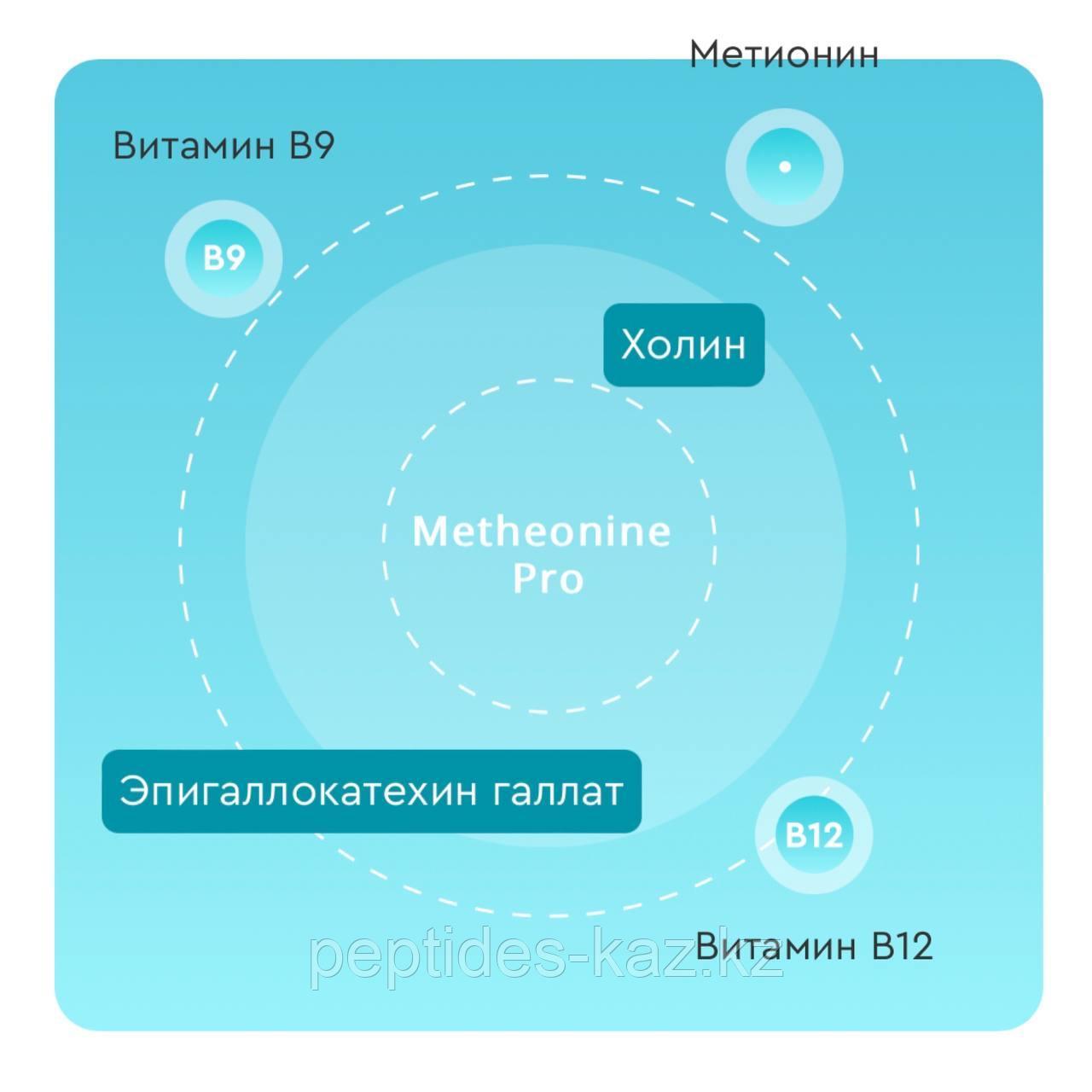 METHEONINE PRO, Метионин ПРО с катехинами и холином - фото 3 - id-p116050425