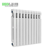 Радиатор чугунный 500/10 сек Ogint