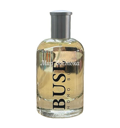 Парфюмерная вода Buse Homo Buse от HouseOfSillage (схож с Boss Bottled от Hugo Boss, 100 мл), фото 2