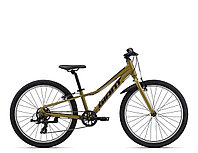 Подростковый Велосипед Giant Tempt 24 Lite 2024/2025