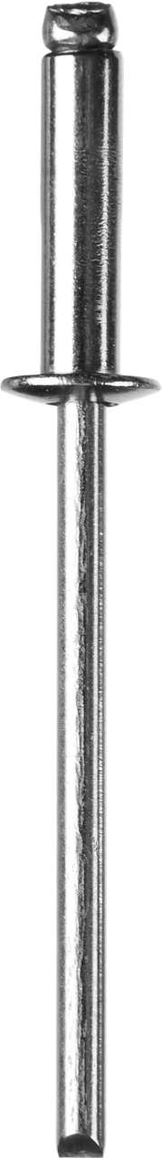 Заклепки нержавеющие, пакет, серия ПРОФЕССИОНАЛ 313166- серия «ПРОФЕССИОНАЛ» - фото 1 - id-p116056309