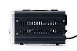 Автоматический cтабилизатор напряжения ALTECO HDR 1000, фото 4