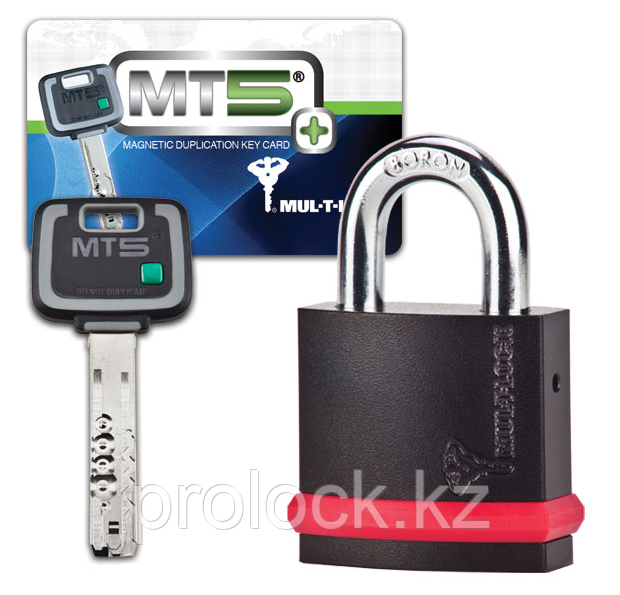 Замок висячий MUL-T-LOCK®  NE12L