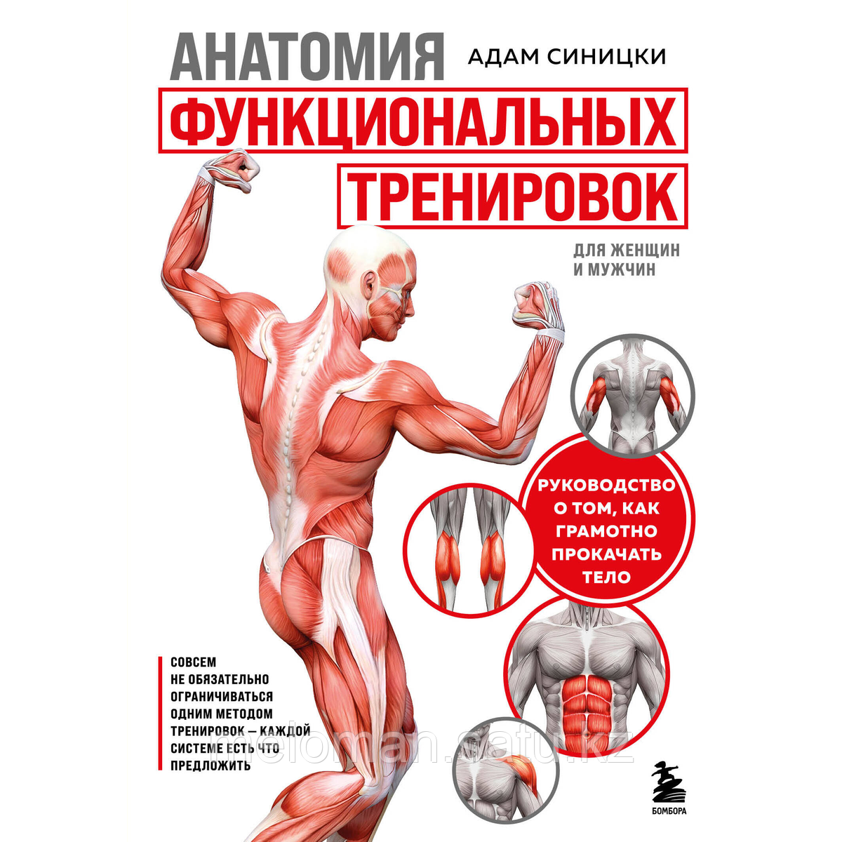 Синицки А.: Анатомия функциональных тренировок. Руководство о том, как грамотно прокачать тело