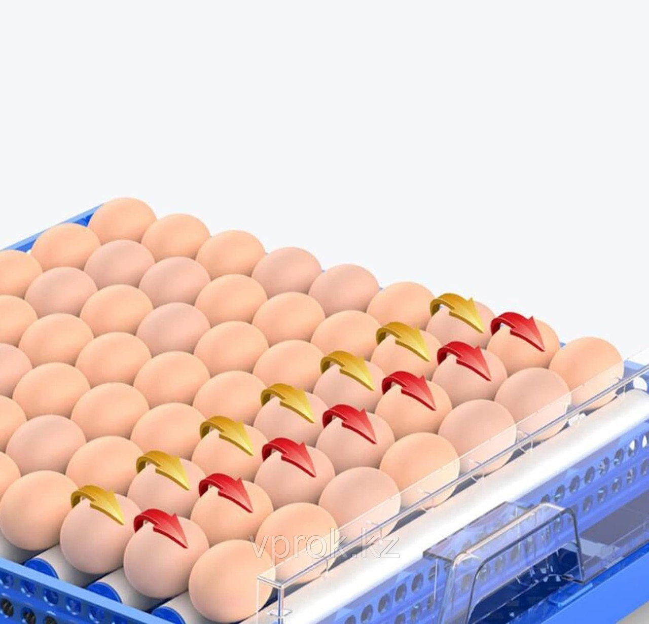 Инкубатор "Сhicken 256" на 256 яйц с функцией автоматического пополнения воды и регулировкой роликов - фото 5 - id-p116077472