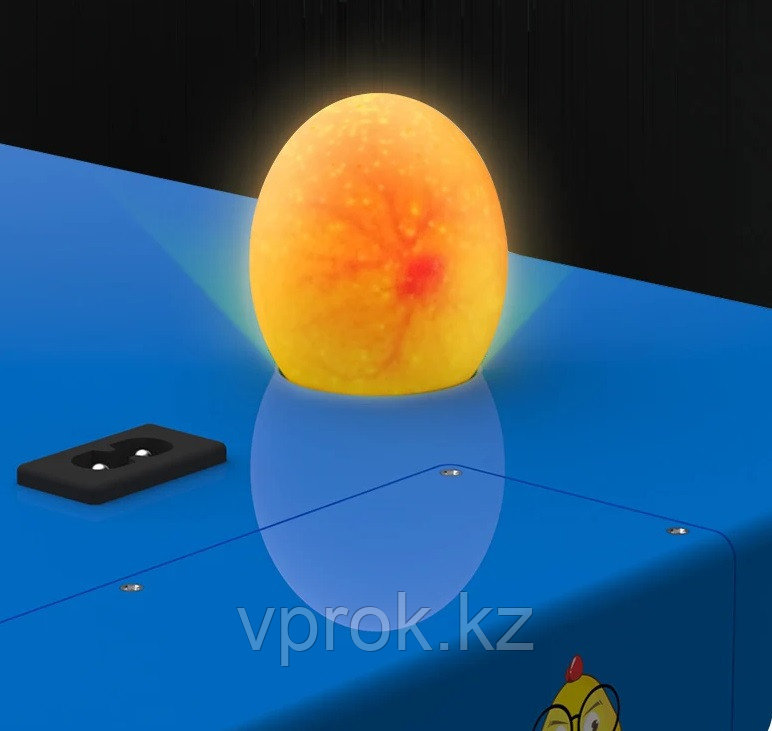 Инкубатор "Сhicken 256" на 256 яйц с функцией автоматического пополнения воды и регулировкой роликов - фото 8 - id-p116077472