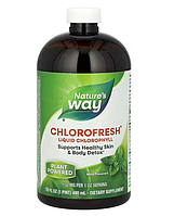 Nature's Way, Chlorofresh, жидкий хлорофилл, со вкусом мяты, 132 мг, 16 жидких унций (473,2 мл)