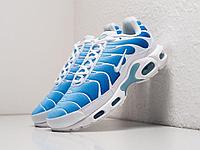 Кроссовки Nike Air Max Plus TN 40/Синий