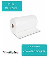 Салфетка Спанлейс Бюджет 20х20 100 шт/рулон Чистовье 495