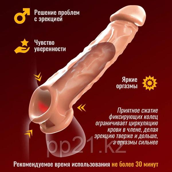 мужской член  - 116098755