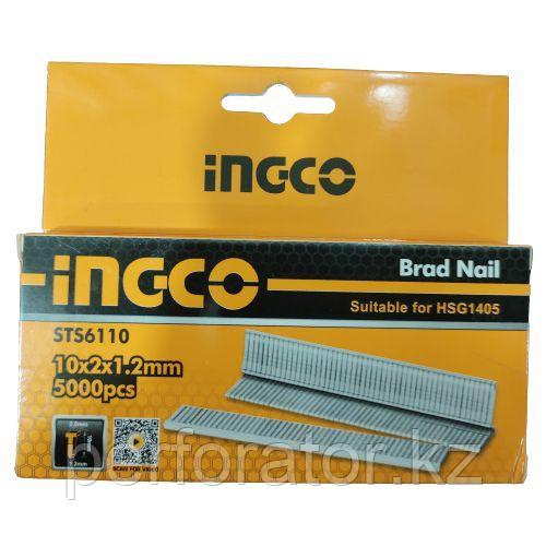 INGCO Гвозди для степлера 10мм (коробка 5000шт) - фото 1 - id-p116099083