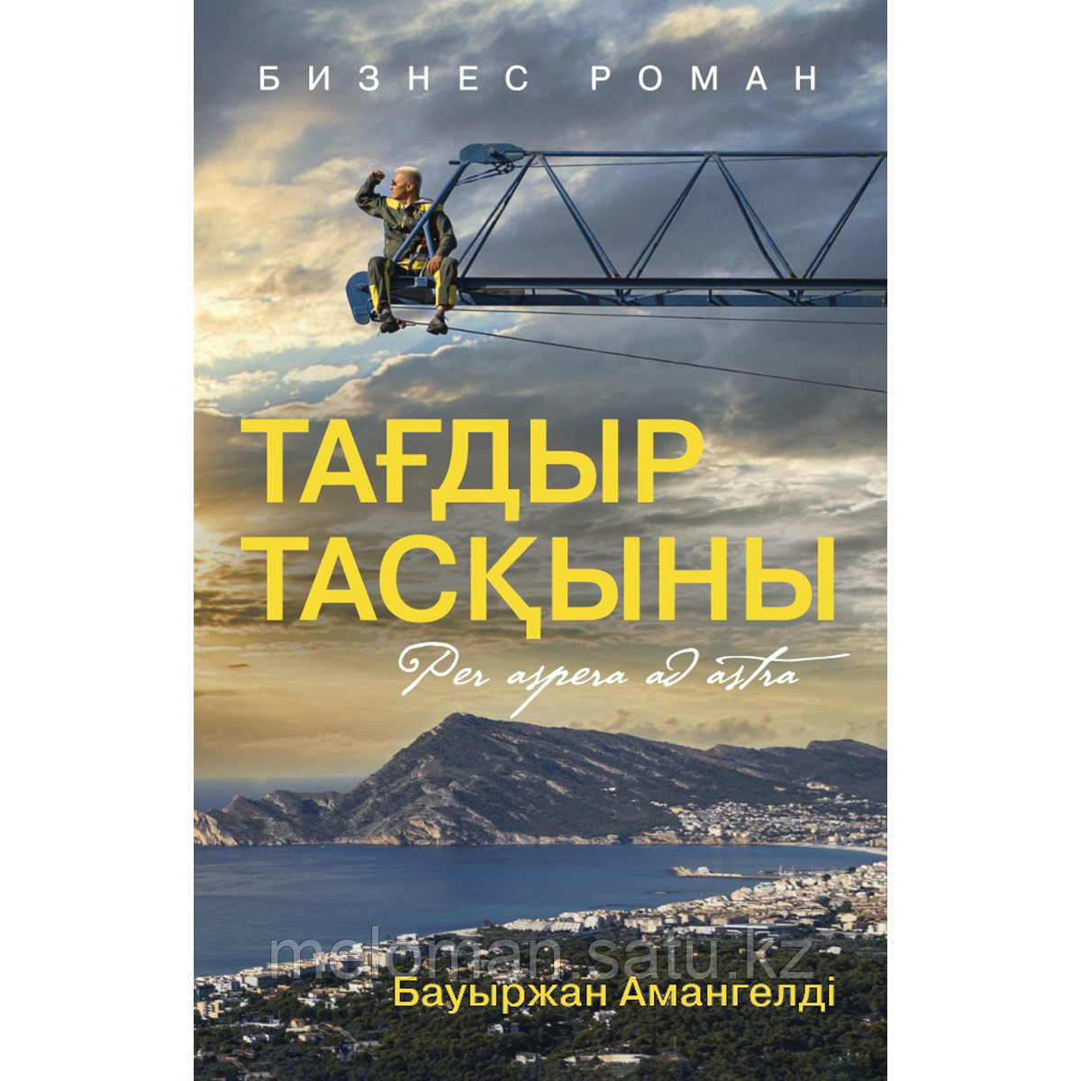 Амангелді Б.: Тағдыр тасқыны. Бизнес-роман