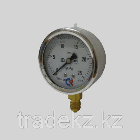 Манометр виброустойчивый ТМ-320Р G1/4