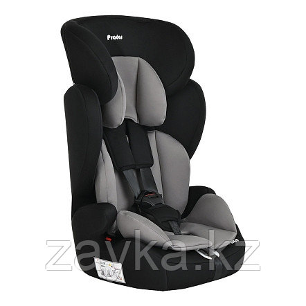 Pituso Удерживающее устройство для детей 9-36 кг Prados Grey Black /Серо-черный