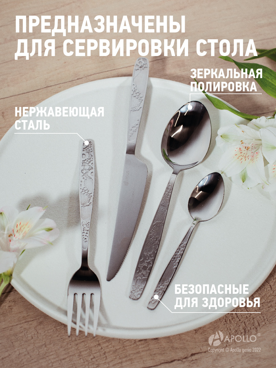Набор столовых приборов "Sochi" 24 пр SCH-24/APOLLO - фото 2 - id-p99801188