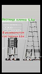 Лестница телескопическая елочка 5.5+5.5 11 м